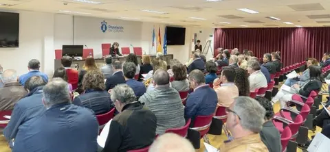 Goretti Sanmart&iacute;n, durante a presentaci&oacute;n das axudas culturais aos concellos.