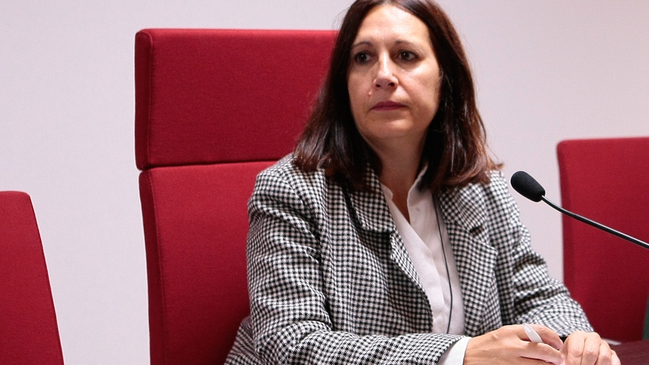 A deputada de Cultura, Natividade Gonz&aacute;lez