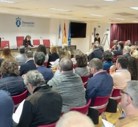 Goretti Sanmart&iacute;n, durante a presentaci&oacute;n das axudas culturais aos concellos.