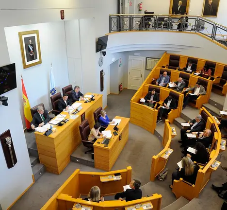 pleno marzo 2019 