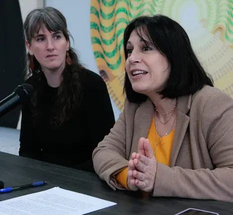 Gonz&aacute;lez, durante a s&uacute;a intervenci&oacute;n na presentaci&oacute;n hoxe das Residencias