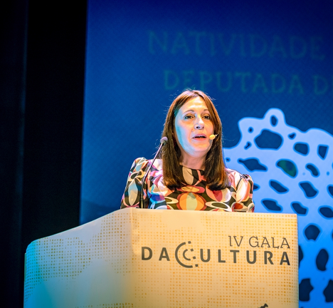 Gonz&aacute;lez, durante a s&uacute;a intervenci&oacute;n na 4&ordf; Gala de Cultura da Deputaci&oacute;n